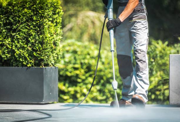 Best Warehouse Cleaning  in Western Springs, IL
