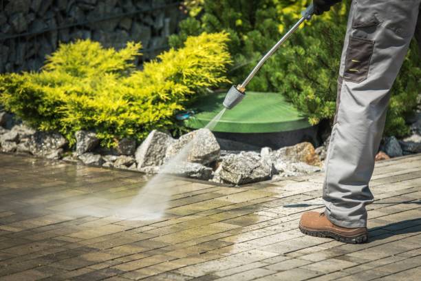 Best Fence Cleaning  in Western Springs, IL