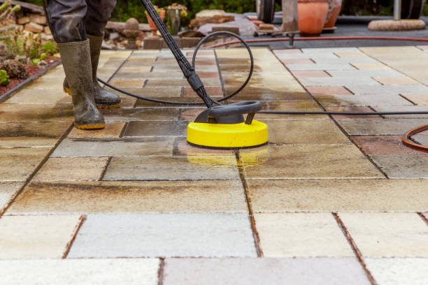 Professional Pressure Washing Services in Western Springs, IL