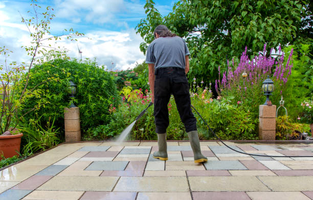 Best Sidewalk and Walkway Cleaning  in Western Springs, IL